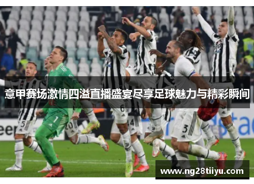 意甲赛场激情四溢直播盛宴尽享足球魅力与精彩瞬间
