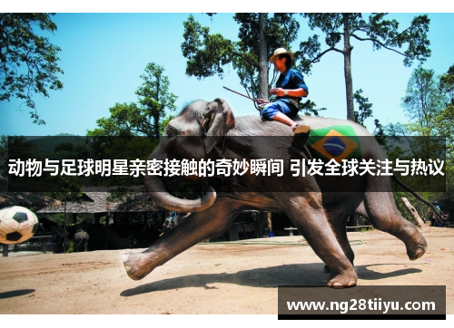 动物与足球明星亲密接触的奇妙瞬间 引发全球关注与热议