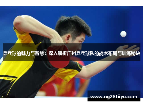 乒乓球的魅力与智慧：深入解析广州乒乓球队的战术布局与训练秘诀